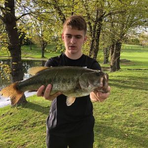 Meet your Posher, Blake